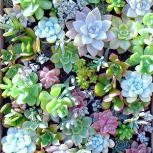 Meet your Posher, Kathryn